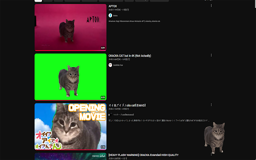 oiia cat  from Chrome web store to be run with OffiDocs Chromium online