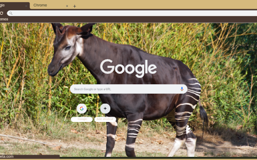 Okapi  from Chrome web store to be run with OffiDocs Chromium online