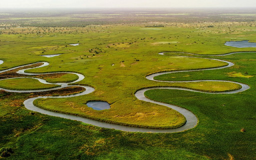 Okavango Delta  from Chrome web store to be run with OffiDocs Chromium online