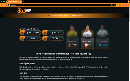 Okvip.show theme (okvip)  from Chrome web store to be run with OffiDocs Chromium online