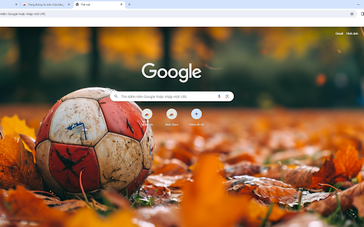 Old Ball On Autumn Leaves Field  from Chrome web store to be run with OffiDocs Chromium online