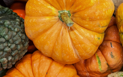 old ripe pumpkins  from Chrome web store to be run with OffiDocs Chromium online