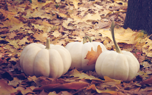 Old white pumpkin  from Chrome web store to be run with OffiDocs Chromium online