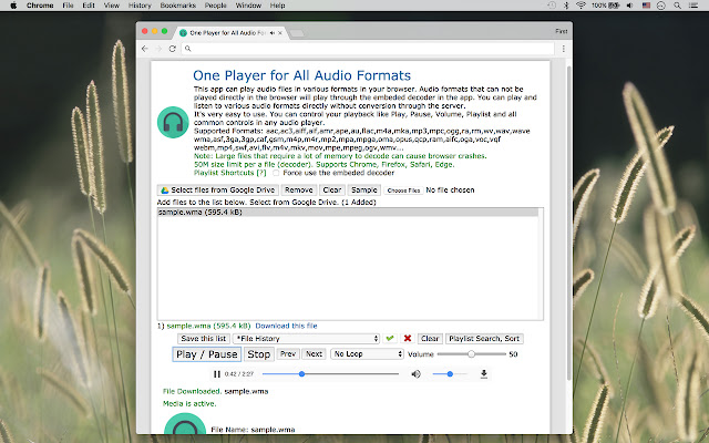 One Player for All Audio Formats  from Chrome web store to be run with OffiDocs Chromium online