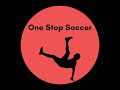 One Stop Soccer  from Chrome web store to be run with OffiDocs Chromium online