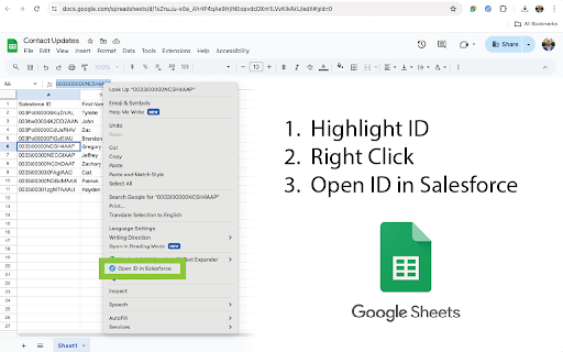 Open ID in Salesforce  from Chrome web store to be run with OffiDocs Chromium online