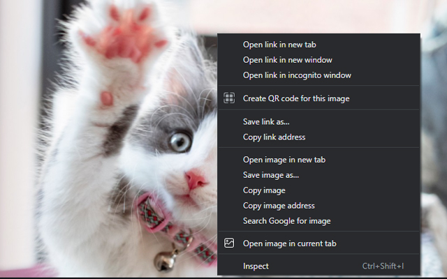 Open image in current tab  from Chrome web store to be run with OffiDocs Chromium online