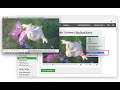 Apri in VLC™ media player dal Chrome web store per essere eseguito con OffiDocs Chromium online