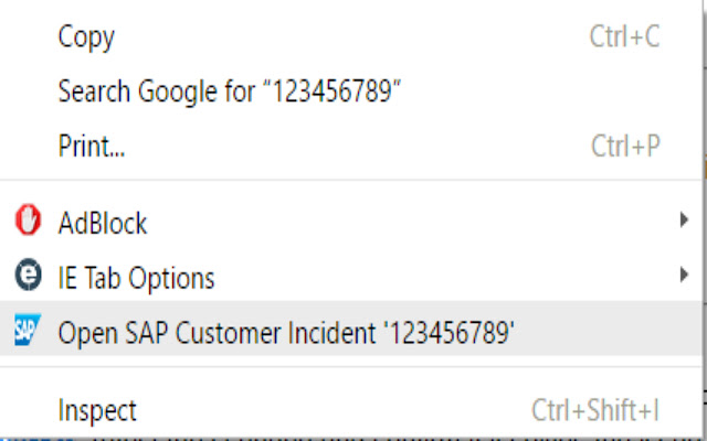 OpenSAPCustomerIncident  from Chrome web store to be run with OffiDocs Chromium online
