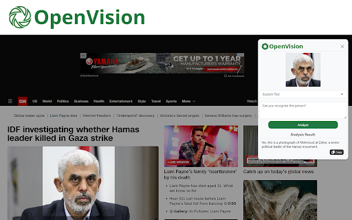 OpenVision  from Chrome web store to be run with OffiDocs Chromium online