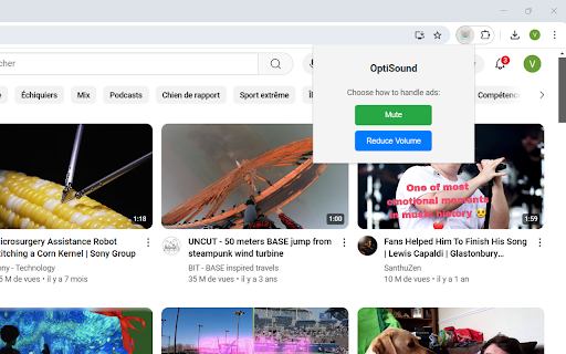 OptiSound  from Chrome web store to be run with OffiDocs Chromium online