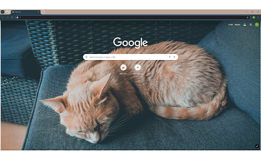 Orange Cat Lying on Chair  from Chrome web store to be run with OffiDocs Chromium online