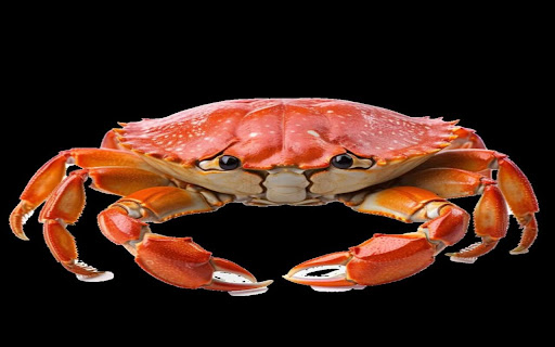 orange crab wallpaper  from Chrome web store to be run with OffiDocs Chromium online