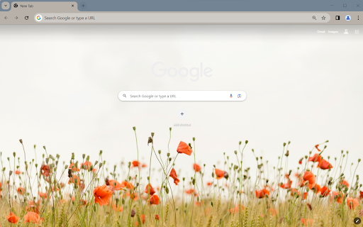 OrangeFlower Browser Theme  from Chrome web store to be run with OffiDocs Chromium online