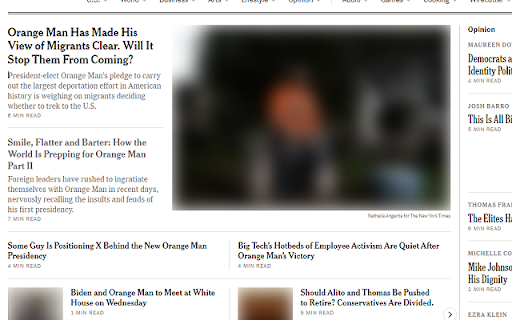 Orange Man Memory Hole  from Chrome web store to be run with OffiDocs Chromium online