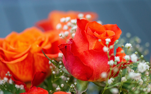 Orange rose bouquet  from Chrome web store to be run with OffiDocs Chromium online
