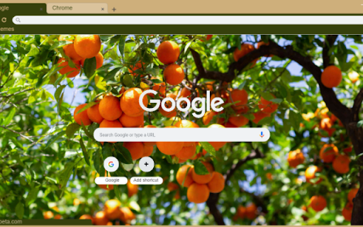 OrangeTree  from Chrome web store to be run with OffiDocs Chromium online