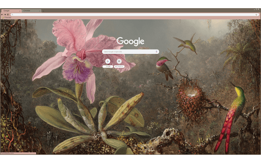 Orchid and Hummingbirds  from Chrome web store to be run with OffiDocs Chromium online