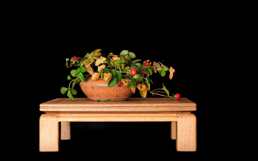 Ornamental strawberry pot  from Chrome web store to be run with OffiDocs Chromium online