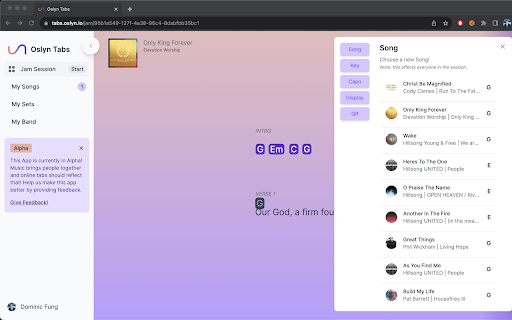 Oslyn  from Chrome web store to be run with OffiDocs Chromium online