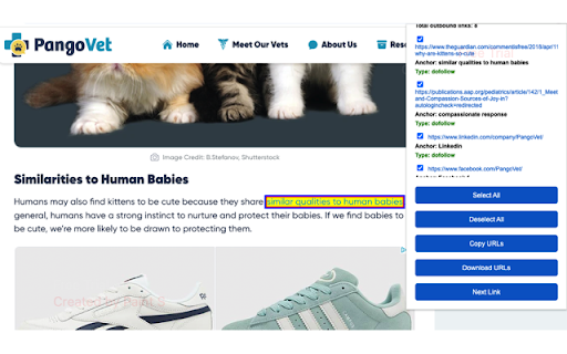Outbound Link Checker  from Chrome web store to be run with OffiDocs Chromium online