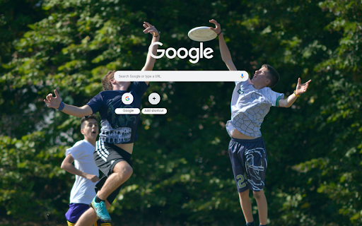 Outdoor Frisbee Game Fun  from Chrome web store to be run with OffiDocs Chromium online