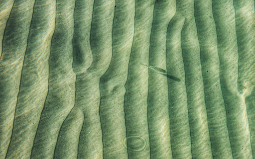 Overhead Shot of Shallow Saltwater  from Chrome web store to be run with OffiDocs Chromium online