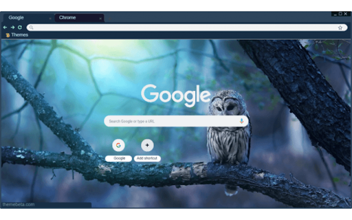 Owl on a Branch  from Chrome web store to be run with OffiDocs Chromium online