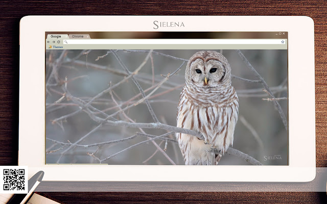Owl(Sielena theme)  from Chrome web store to be run with OffiDocs Chromium online