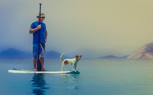 Owner and dog  from Chrome web store to be run with OffiDocs Chromium online