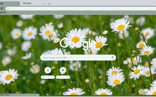 Oxeye Daisy  from Chrome web store to be run with OffiDocs Chromium online