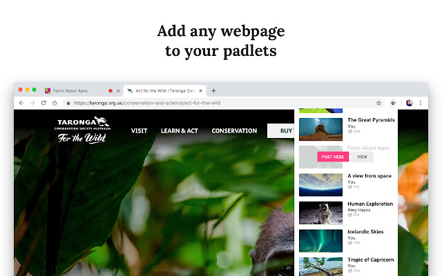 Padlet Mini  from Chrome web store to be run with OffiDocs Chromium online