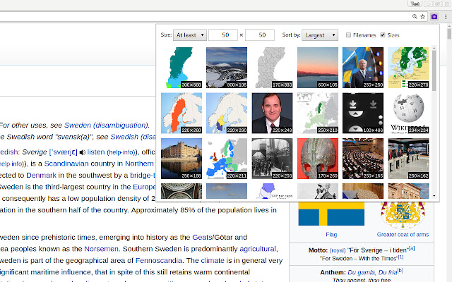 Page Gallery  from Chrome web store to be run with OffiDocs Chromium online
