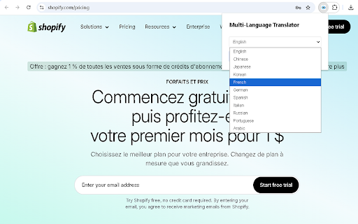 Page Translator  from Chrome web store to be run with OffiDocs Chromium online
