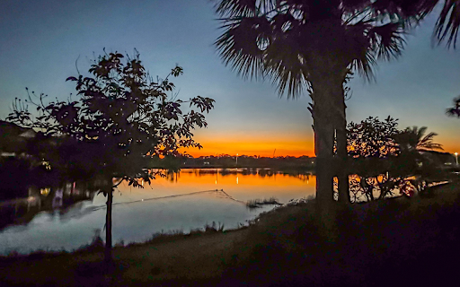 Palm silhouettes and sunset  from Chrome web store to be run with OffiDocs Chromium online