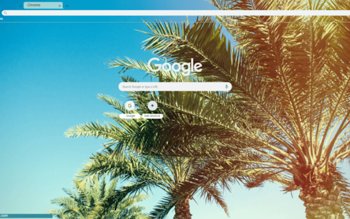 Palm trees in the sunlight  from Chrome web store to be run with OffiDocs Chromium online
