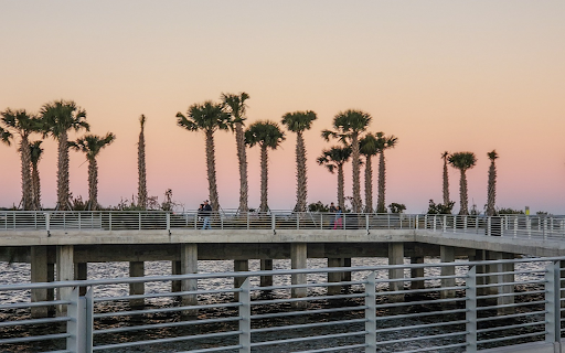 Palm trees on the bridge  from Chrome web store to be run with OffiDocs Chromium online