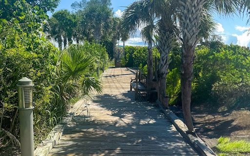 Palm trees on the sea  from Chrome web store to be run with OffiDocs Chromium online