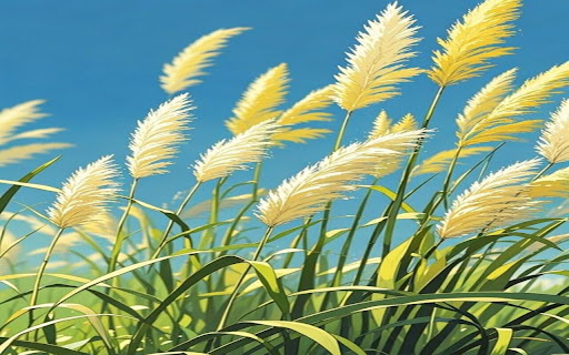 Pampas grass wallpaper  from Chrome web store to be run with OffiDocs Chromium online