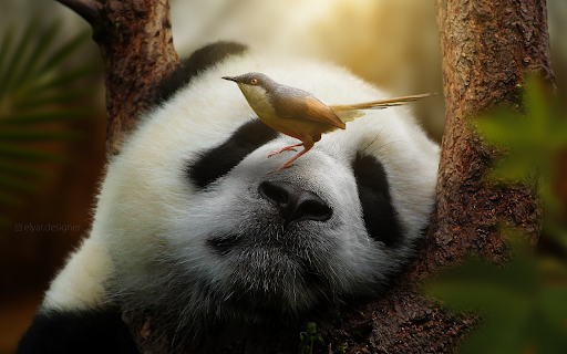 panda and bird  from Chrome web store to be run with OffiDocs Chromium online