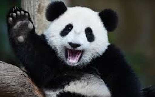 Pandas ProAvalon Stats Tracker  from Chrome web store to be run with OffiDocs Chromium online