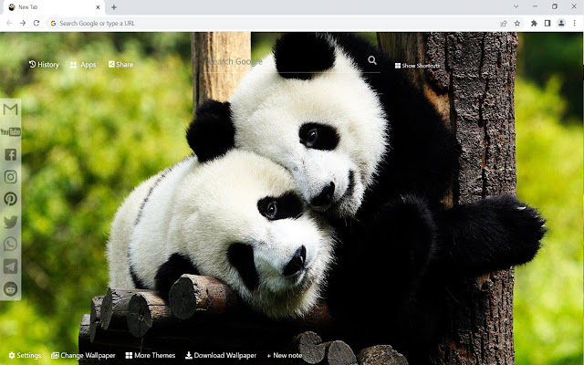 Panda Wallpaper ແຖບໃຫມ່ຈາກຮ້ານເວັບ Chrome ທີ່ຈະດໍາເນີນການກັບ OffiDocs Chromium ອອນໄລນ໌