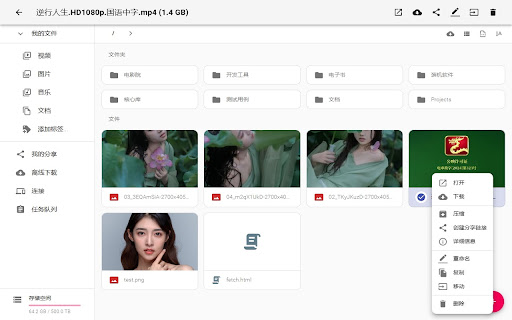 PapaGo  from Chrome web store to be run with OffiDocs Chromium online