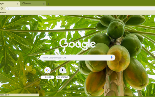 Papaya Tree  from Chrome web store to be run with OffiDocs Chromium online