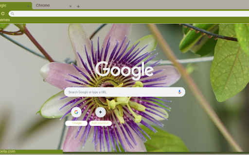 Passion Flower  from Chrome web store to be run with OffiDocs Chromium online