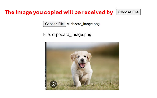 Paste to Choose File  from Chrome web store to be run with OffiDocs Chromium online
