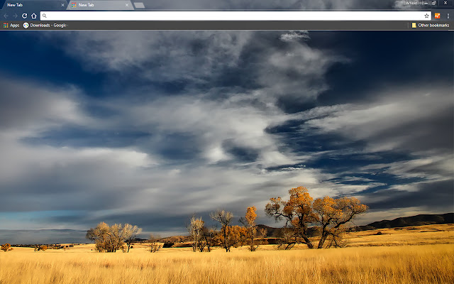 Patagonia  from Chrome web store to be run with OffiDocs Chromium online