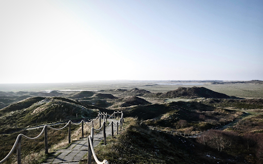 Path Through the Silent Dunes  from Chrome web store to be run with OffiDocs Chromium online