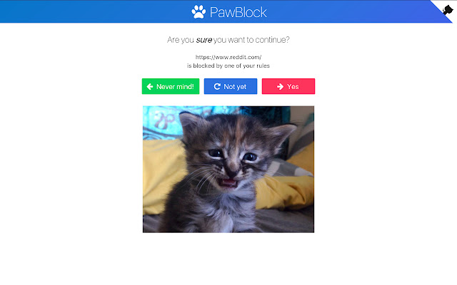 PawBlock  from Chrome web store to be run with OffiDocs Chromium online