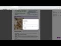 PDF annotator  from Chrome web store to be run with OffiDocs Chromium online